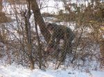 IMG_0446